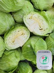 【自然農法　キャベツ好きへ❗】キャベツ　10kg