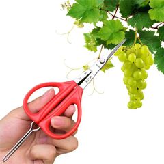 2本セット園芸用はさみ ステンレス ピンセット付 4.5/6 センチメートル 剪定ばさみ ぶどう鋏 ぶどう切りはさみ 多機能果物摘みはさみ、植木ハサミ ステンレスぶどう切りばさみ