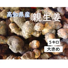 高知県産 親生姜 ５ k g 土付きのサムネイル
