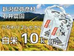 新潟県弥彦村石井農園　令和5年産コシヒカリ【白米 10kg】