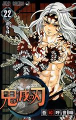 Shueisha Jump Comics Koyoharu Gotouge Demon Slayer: Kimetsu no Yaiba Bundled Edition 22