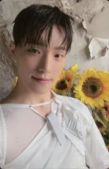 【中古】コレクションカード(男性) SEVENTEEN/ディノ(DINO)/「SEVENTEEN GLOBAL OFFICIAL FANCLUB CARAT MEMBERSHIP KIT BONGBONGEE」フォトカード