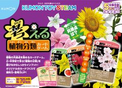 【数量限定】くもん出版(KUMON PUBLISHING) KUMON TOY STEAM 考える植物分類カードゲーム 知育玩具 STEM教育 TS-40