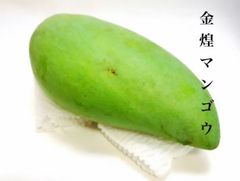 沖縄県産　激レア❣️　キンコーマンゴー