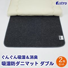 TEIJIN テイジン すのこ型除湿マット ダブルインパクト 2組セット