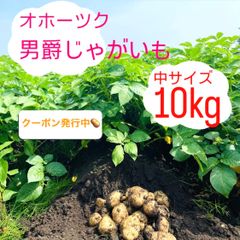 北海道　男爵じゃがいも　10キロ