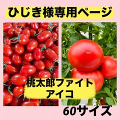 ひじき様専用ページ❣️桃太郎ファイトトマト➕アイコのセット❣️