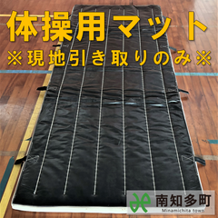 体育・体操用マット（小）