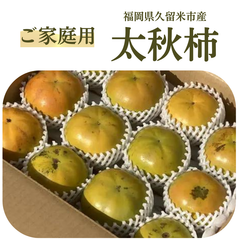 【家庭用】太秋柿M箱(約9〜12玉入)産地直送