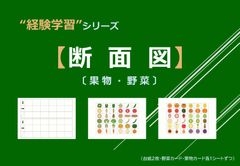 計30作品【制作・巧緻性10課題】完全習得キット - メルカリ