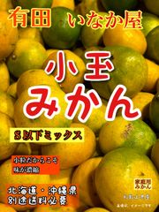 残り1！数量限定！早い者勝ち！S以下！小玉！和歌山県　有田　ミカン　みかん　家庭用　セール　フルーツ　柑橘　果物