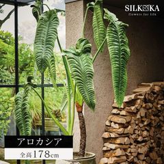 フェイクグリーン 大型 「 アロカシア 178cm シルカ（Silk-ka）」 おしゃれ リアル 人工 観葉 植物