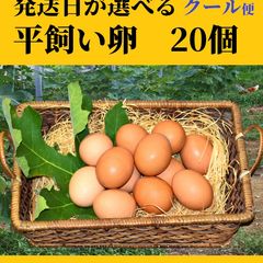 平飼い卵90個5/8常温発送コジロウ tamago0002_02.jpg