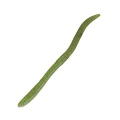 Item thumbnail for item 8131deee-e5ea-4ee1-aac7-d6b8f3219b48