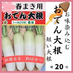 2025年種入荷！【野菜の種】★春撒き用★お味染みしみ♡短系おでん大根 の種２０粒～収穫６０日～