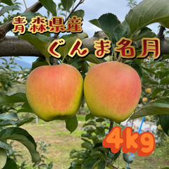 青森県産🍏ぐんま名月✨家庭用🍏4㎏11〜12玉