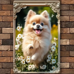 犬雑貨 ポメラニアン ブリキ看板 c36