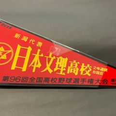 第96回全国高校野球選手権大会　新潟代表　日本文理高校　 1046のサムネイル