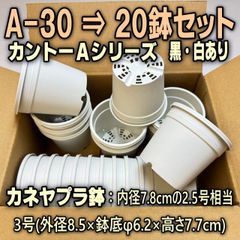 A-30(カントー)プラ鉢の白・黒・混合を選べる20鉢セットカネヤ＊多肉植物・塊根植物コーデックス・アガベ・サボテン・盆栽・観葉・ハオルチア・アデニウム・パキポディウム・実生@フラワーショップ江口※黒インク状の付着が有ったりします