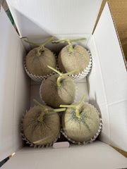 庄内砂丘特産　アンデスメロン　3L4個2箱　家庭用　訳あり 庄内砂丘特産 アンデスメロン 3L4個2箱 家庭用 訳あり - メルカリ