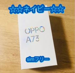 apeman A80 アクションカメラ 4K 数回使用 動作確認済 - トイショップ