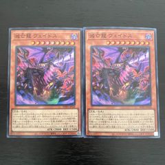 66. 遊戯王 滅亡龍ヴェイドス　スーパー2枚 ヴァンキッシュソウル VS