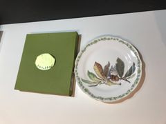 250424 となりのトトロ ディナー皿　Noritake