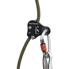 Item thumbnail for item 28bf6732-668e-4abb-9cd8-72ce1f5bbda0