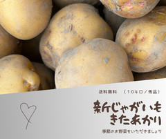 新じゃが　きたあかり　徳島県産　１０キロ　秀品　ジャガイモ　M～Lサイズ　全国発送可