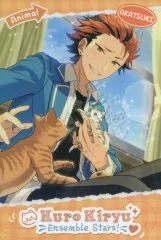 【中古】ポストカード 鬼龍紅郎(カンテラと猫/開花前) 「あんさんぶるスターズ! アニマルポストカード」 中国限定