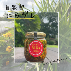栄養満点！【自家製にらダレ】4個セット　やみつき旨ダレ 冷しゃぶや 冷奴に！ 万能ダレ　　クール宅急便送料込み