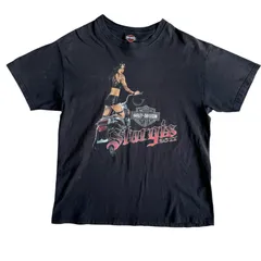 2025年最新】ハーレーダビッドソン tシャツ ピンナップガールの