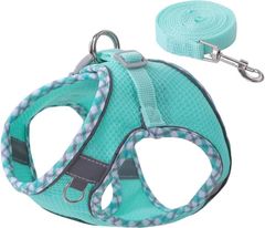 Item thumbnail for item a42deb02-4120-497b-8f85-7d9efce3ee6f