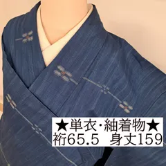 【単衣・紬着物 】裄65.5cm 身丈159cm 　紬　青地に縞と絣文様　む01S04a　i2503