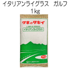 イタリアンライグラス種子　ガルフ（農薬未処理）1kg【種】タキイ種苗　牧草の種