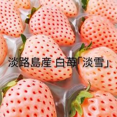 淡路島産 白苺 淡雪  大玉3L 2パック いちごイチゴ玉葱たまねぎタマネギオニオン