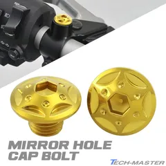 ミラーホールカバーキャップ 正ネジ M10 P1.25 2個セット バーエンドミラー 交換後のミラーホールドレスアップなどに スターホールヘッド ゴールド TH0122 【メール便】のサムネイル