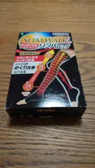 【新品】スリムウォーク メディカルリンパロング おやすみ用 ブラック S-Mサイズ1足分