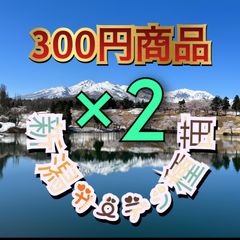 セット価格