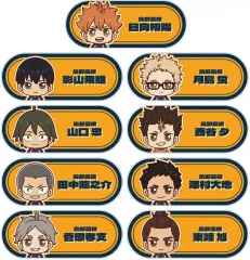 【中古】バッジ・ビンズ 全9種セット 「ハイキュー!! トレーディング ちょこんと！ アクリルネームプレート ver.A」
