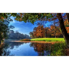 絵画風 壁紙ポスター (はがせるシール式) ユトレヒトの秋の景色 オランダ 紅葉 青空 池 落ち葉 自然 キャラクロ KYO-027W2 (ワイド版 603mm×376mm) ＜日本製＞ ウォールステッカー お風呂ポスター