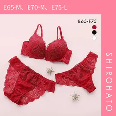 【SHIROHATO公式】【正規品・新品】クラシックラメ刺繍 ブラジャー ショーツ セット Tバック 3点セット BCDEF 大きいサイズ バックレース(E65-M、E70-M、E75-L)