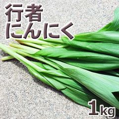 予約　天然山菜・【葉が開いた】行者にんにく１ｋｇ(大小バラ詰め)