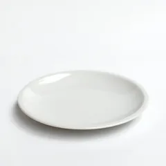 ✨新品未使用サタルニア ローマプレ－ン 28cm3枚セット 2026年最新】サタルニアの人気アイテム - メルカリ