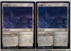 MTG 天界の列柱 / Celestial Colonnade WWK 日本語 2枚セット