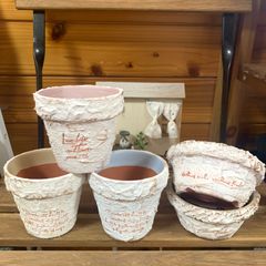 xXmvoqjTRx8sNPUjAaPqwg.jpg@jpg