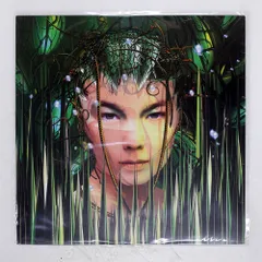 2025年最新】bjork レコードの人気アイテム - メルカリ