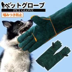 Item thumbnail for item 97dcbd37-6a3c-4441-a31f-c48e63531e1e