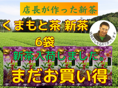 新茶入荷しました‼︎!全国 送料無料  健康 新茶 母の日  上くまもと 緑茶　100g✕6袋セット　八十八夜