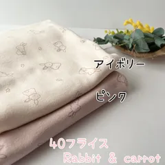40フライスニット生地（Rabbit & carrot）のサムネイル